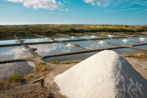 CASA DE LOS SALINEROS DE GUÉRANDE