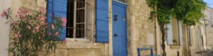 Visita guiada de Arles