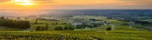 EXCURSION POR EL VINEDO DE BEAUJOLAIS