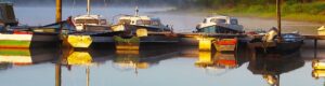 Crucero en barco nantés por el Erdre