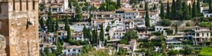 Visita guiada de Granada y la Alhambra