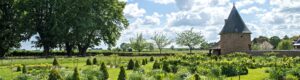 MARTAINVILLE CASTILLO - CRUCERO NAVIDENO Y ANO NUEVO
