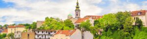 Visita guiada de Novi Sad y el Monasterio Krusedol