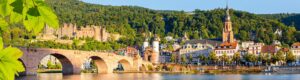 Paseo por el viñedo de Rudesheim