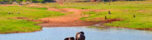 Visita de la presa del lago Kariba