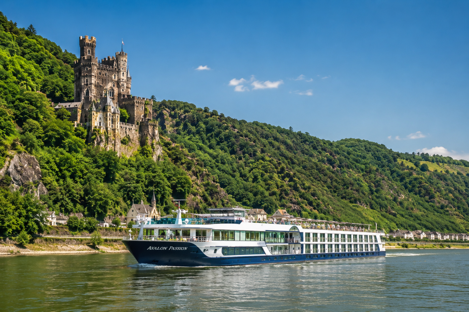 Crucero fluvial por el Rin Romántico