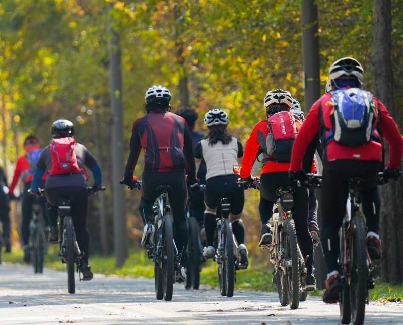 Excursion en bicicleta Riverside